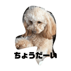 AYUMI_20200315202737