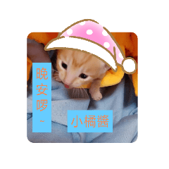 貓狗奴的生活記錄