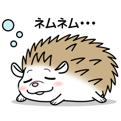 The hedgehog is KOTETU