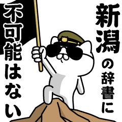 "NIIGATA"name/Military cat