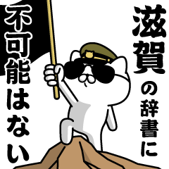 "SHIGA"name/Military cat