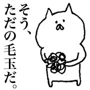 Furball cat