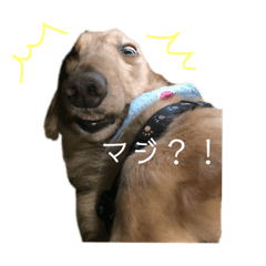 nanami_20200316011947