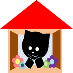 black cat cat cat
