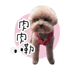 叭噗臭嘴王