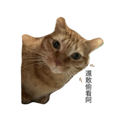 zzzzzzzzzzzzzzzza