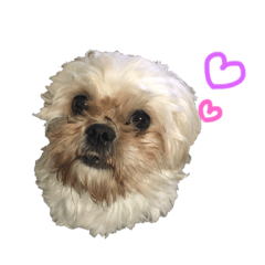 mizuki_20200316181140