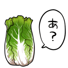 talking Chinese cabbage