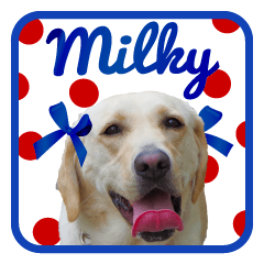 Labrador Retriever "MILKY" Photo Sticker