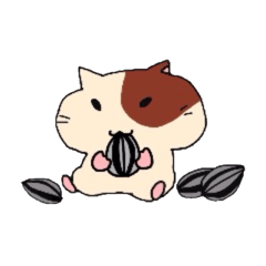 Buchi of the hamsters