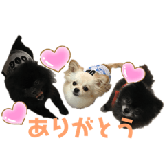 Nakai wanko
