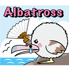 Round albatross