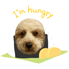 Natsumi_20200316184702