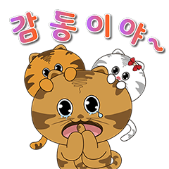 "Hoya"savanna cat(korean version.1)