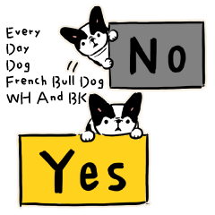 Every Day Dog French Bull Dog WH & BK