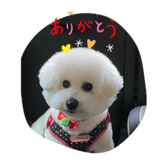 junko_20200316171419