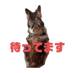 ayano_20200316214758