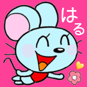 mouse chew spring