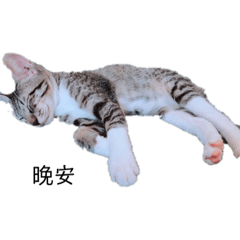 米樂小公舉 。。