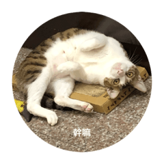 Yuting_neko