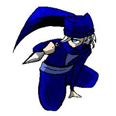 shinobi  ninja