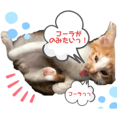 saya_20200317103053