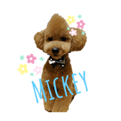 yukari_20200317102956