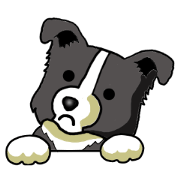 I Love Border Collie