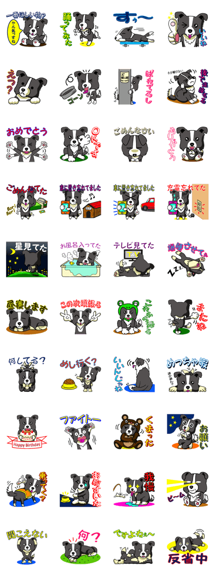 I Love Border Collie