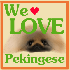 We Love Pekingese!!