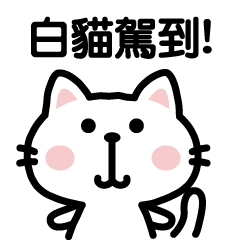 cat sticker-Chinese (Traditional)-