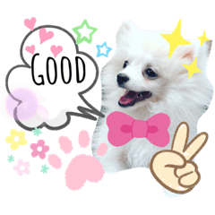 Goody good day3 – LINE stickers | LINE STORE