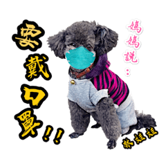 林家の毛小孩