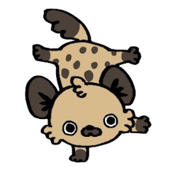 Hyena "Dapple"