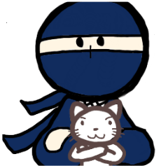 Ninja and cat