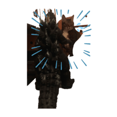 私はタイガーです。