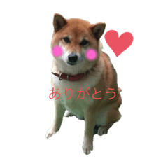 mimi_ pppqpppp