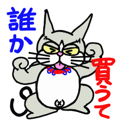 Cat of the Kansai dialect 1