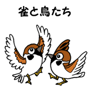 Sparrow and birds