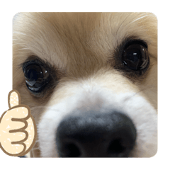 marina_20200317192643