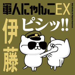 "ITO"name-Movie Military cat