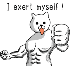 Muscle white cat English version