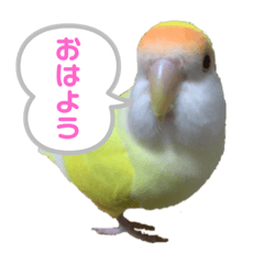 yuuuuuzu