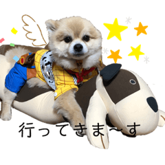 marina_20200317225302