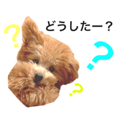 HIKARI_20200318000617