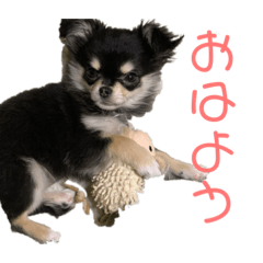 Mimikko_20200318051728