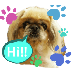hello! my name is Pinky