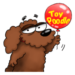 Sticker of a cute Toy Poodle.