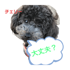 Hana_20200318121945