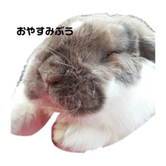 ARISA_20200318143816